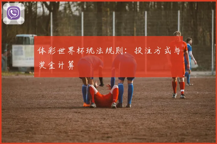 体彩世界杯玩法规则：投注方式与奖金计算