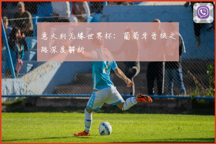 意大利无缘世界杯：葡萄牙晋级之路深度解析