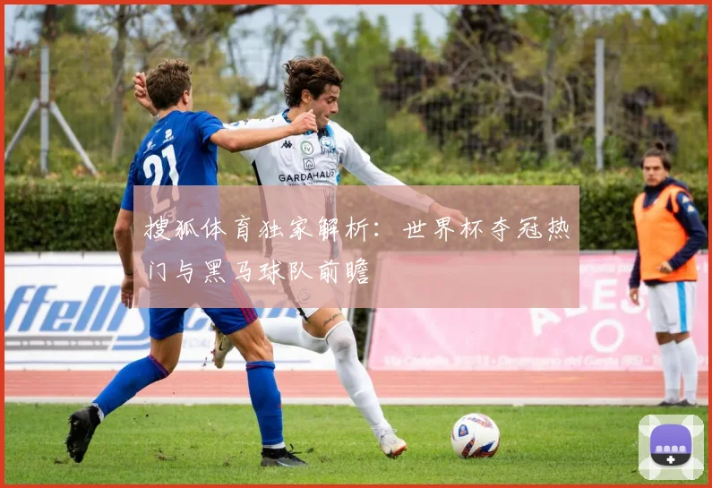 搜狐体育独家解析：世界杯夺冠热门与黑马球队前瞻
