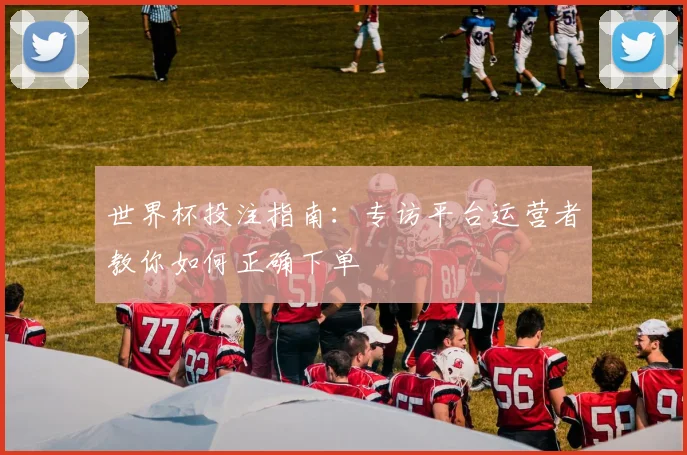 世界杯投注指南：专访平台运营者教你如何正确下单