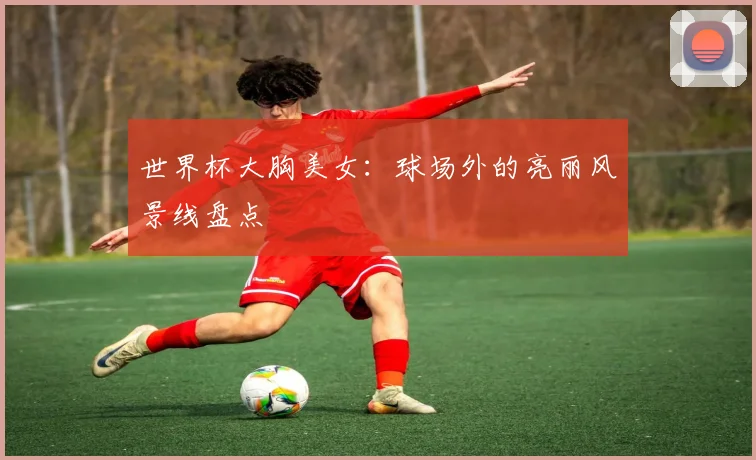 世界杯大胸美女：球场外的亮丽风景线盘点