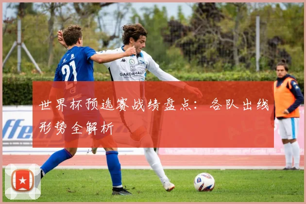 世界杯预选赛战绩盘点:各队出线形势全解析